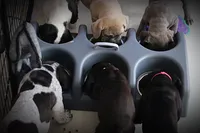 processed/5fe5d721-4160-4a73-b92a-54794af6405f/facility/a89627bb-1401-418b-a6f3-07cba7774ce2