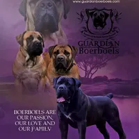 processed/5fe5d721-4160-4a73-b92a-54794af6405f/facility/c6038e07-9668-47e8-a3e6-ddc5e2bd45e2