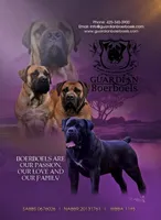 processed/5fe5d721-4160-4a73-b92a-54794af6405f/facility/c6038e07-9668-47e8-a3e6-ddc5e2bd45e2