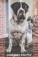 processed/5fe5d721-4160-4a73-b92a-54794af6405f/listing/40e7e68d-7234-4010-b83e-c6c898124375/255c54c2-57e2-437a-9605-e02147efa4fc