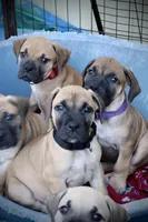 processed/5fe5d721-4160-4a73-b92a-54794af6405f/listing/e27d9631-bb95-465c-9834-1589199c2052/8765c363-c6f5-4a0e-bd0d-2a357dbd97aa