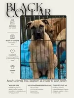 processed/5fe5d721-4160-4a73-b92a-54794af6405f/listing/e27d9631-bb95-465c-9834-1589199c2052/c880f70a-1e35-4dbb-9033-308fe7eea15e