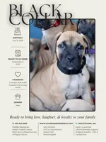 processed/5fe5d721-4160-4a73-b92a-54794af6405f/listing/e27d9631-bb95-465c-9834-1589199c2052/eb9eebe1-cc29-4775-a652-422912fcbb76