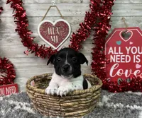 processed/5ff2171d-0ca3-4373-aa38-06a5aa63d2d3/listing/243fb9ac-fabe-4445-9d5d-130d22722e23/446c25d6-93a5-48f8-9cd1-8c76df485236