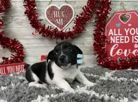 processed/5ff2171d-0ca3-4373-aa38-06a5aa63d2d3/listing/243fb9ac-fabe-4445-9d5d-130d22722e23/dd2c912b-2ac8-4cef-bef6-a2aa0a86c622