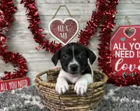 processed/5ff2171d-0ca3-4373-aa38-06a5aa63d2d3/listing/28d76104-d9c6-4568-8569-70e557e238ea/39d991ef-153d-47d8-b35e-a28a02211848