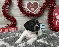 processed/5ff2171d-0ca3-4373-aa38-06a5aa63d2d3/listing/28d76104-d9c6-4568-8569-70e557e238ea/8c6e3e49-cfd7-4aa4-81d4-180d90a3986a