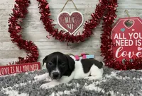 processed/5ff2171d-0ca3-4373-aa38-06a5aa63d2d3/listing/28d76104-d9c6-4568-8569-70e557e238ea/8d51fdfa-4125-4f75-8fc2-a0360d3a4abf