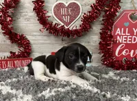 processed/5ff2171d-0ca3-4373-aa38-06a5aa63d2d3/listing/28d76104-d9c6-4568-8569-70e557e238ea/ae00584c-d17b-49d7-a67e-664939eb345d