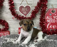 processed/5ff2171d-0ca3-4373-aa38-06a5aa63d2d3/listing/7c9785c9-57c1-40d2-8420-47f218fd3f5a/4477eff8-d7c9-4a45-aad5-e0588fe4f815