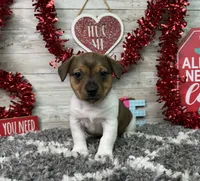 processed/5ff2171d-0ca3-4373-aa38-06a5aa63d2d3/listing/7c9785c9-57c1-40d2-8420-47f218fd3f5a/4711f0ad-c656-4b25-a552-826facb25a78