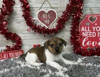 processed/5ff2171d-0ca3-4373-aa38-06a5aa63d2d3/listing/7c9785c9-57c1-40d2-8420-47f218fd3f5a/878f8f38-b937-49f8-9ebe-446967da6953