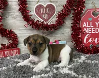 processed/5ff2171d-0ca3-4373-aa38-06a5aa63d2d3/listing/7c9785c9-57c1-40d2-8420-47f218fd3f5a/9a3fb167-4e13-4c55-b48c-173ed103a0fe