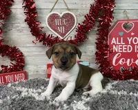 processed/5ff2171d-0ca3-4373-aa38-06a5aa63d2d3/listing/7c9785c9-57c1-40d2-8420-47f218fd3f5a/d2a1ef79-e73a-4fb2-8d7c-8830d5e3c215