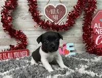 processed/5ff2171d-0ca3-4373-aa38-06a5aa63d2d3/listing/cebe74f0-7549-4f9d-b236-fc75ffb339e5/39d94b15-1285-49e8-b635-45e9102f913e