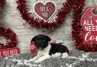 processed/5ff2171d-0ca3-4373-aa38-06a5aa63d2d3/listing/cebe74f0-7549-4f9d-b236-fc75ffb339e5/48c4fa28-ef60-4191-9127-218f142f28d4