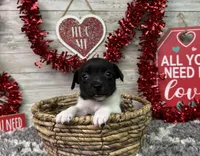 processed/5ff2171d-0ca3-4373-aa38-06a5aa63d2d3/listing/cebe74f0-7549-4f9d-b236-fc75ffb339e5/8b8b1c55-ded6-442c-aeae-b71d67ebcfec