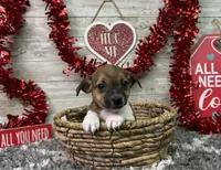 processed/5ff2171d-0ca3-4373-aa38-06a5aa63d2d3/listing/e6f5ddb9-22e7-49ca-befc-8b9ce0f2ee1a/3a0b77ed-a5d8-431a-b918-57faa627b865