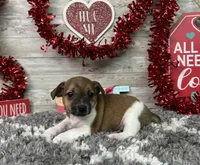 processed/5ff2171d-0ca3-4373-aa38-06a5aa63d2d3/listing/e6f5ddb9-22e7-49ca-befc-8b9ce0f2ee1a/9ddb4eaa-c81d-4479-b901-d877e05245f9