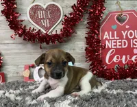 processed/5ff2171d-0ca3-4373-aa38-06a5aa63d2d3/listing/e6f5ddb9-22e7-49ca-befc-8b9ce0f2ee1a/a25949bd-0e61-427e-aa0d-cb7f0502b56d