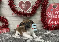 processed/5ff2171d-0ca3-4373-aa38-06a5aa63d2d3/listing/e6f5ddb9-22e7-49ca-befc-8b9ce0f2ee1a/c24796d3-17b6-40b2-b52f-9f3731de462a