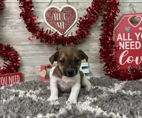 processed/5ff2171d-0ca3-4373-aa38-06a5aa63d2d3/listing/e6f5ddb9-22e7-49ca-befc-8b9ce0f2ee1a/fcd8d099-1cf0-44df-947b-083429e4be84