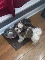 processed/5ffb0698-fafc-44ed-9e22-25ca9e9e2b80/facility/0b920c0a-1c78-4018-ab41-5136479dc127