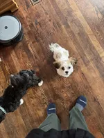 processed/5ffb0698-fafc-44ed-9e22-25ca9e9e2b80/facility/258d1b90-36ec-4b71-85c8-b2bb6748094e