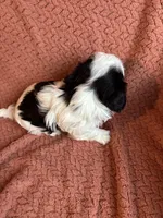 processed/5ffb0698-fafc-44ed-9e22-25ca9e9e2b80/facility/f221a30c-c0e5-4006-ba92-2af225b9e910