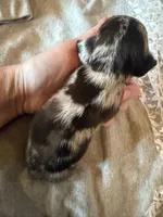 processed/60017dec-f639-48e5-a4d3-5638e19f5e8d/listing/691a6f63-99ee-462e-9598-eed6862faa73/0763cc62-1589-4eb8-885f-2329f6b6c957