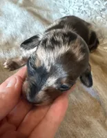 processed/60017dec-f639-48e5-a4d3-5638e19f5e8d/listing/691a6f63-99ee-462e-9598-eed6862faa73/3aa0a4c2-0aa1-4abe-8c78-76048fdc8bd1