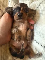 processed/60017dec-f639-48e5-a4d3-5638e19f5e8d/listing/691a6f63-99ee-462e-9598-eed6862faa73/4a379f6f-e5b7-4551-af43-c7b13f8b421d