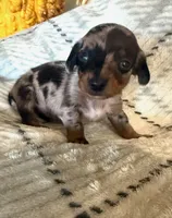 processed/60017dec-f639-48e5-a4d3-5638e19f5e8d/listing/691a6f63-99ee-462e-9598-eed6862faa73/d86c78c2-7cea-4f26-9be6-f0448c95d764