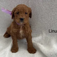 processed/60071092-7fb3-4c10-8ac6-384af2bfac8d/facility/00de3a1c-447d-40b9-b048-0dfabc8e09af