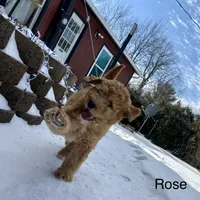 processed/60071092-7fb3-4c10-8ac6-384af2bfac8d/facility/392342b0-8a5e-4fc8-aa83-7b5450e4dede