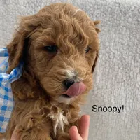 processed/60071092-7fb3-4c10-8ac6-384af2bfac8d/facility/456c2b61-183e-41ba-8ecc-bba5d4384c6b