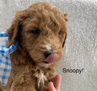 processed/60071092-7fb3-4c10-8ac6-384af2bfac8d/facility/456c2b61-183e-41ba-8ecc-bba5d4384c6b