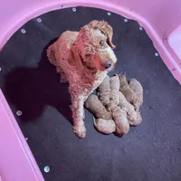 processed/60071092-7fb3-4c10-8ac6-384af2bfac8d/facility/75672d97-5f84-4291-9ac5-d2faf4329ab9