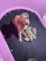 processed/60071092-7fb3-4c10-8ac6-384af2bfac8d/facility/75672d97-5f84-4291-9ac5-d2faf4329ab9