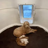 processed/60071092-7fb3-4c10-8ac6-384af2bfac8d/facility/96fa94ab-a596-489c-be4d-1fc251043717