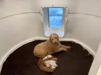 processed/60071092-7fb3-4c10-8ac6-384af2bfac8d/facility/96fa94ab-a596-489c-be4d-1fc251043717