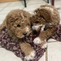 processed/60071092-7fb3-4c10-8ac6-384af2bfac8d/facility/d3076cf7-4944-4e6c-98d6-59c7bed77c7c