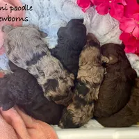 processed/60071092-7fb3-4c10-8ac6-384af2bfac8d/facility/d3bfdc61-e790-40a9-9577-aad2c98b21a4