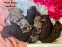 processed/60071092-7fb3-4c10-8ac6-384af2bfac8d/facility/d3bfdc61-e790-40a9-9577-aad2c98b21a4