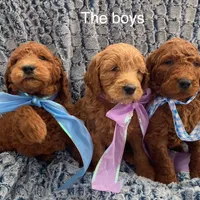 processed/60071092-7fb3-4c10-8ac6-384af2bfac8d/facility/ef2ed59c-524e-43e2-b6ae-0dc295e2f4d2