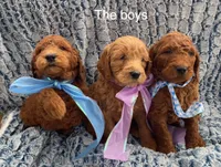 processed/60071092-7fb3-4c10-8ac6-384af2bfac8d/facility/ef2ed59c-524e-43e2-b6ae-0dc295e2f4d2