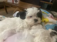 processed/60071092-7fb3-4c10-8ac6-384af2bfac8d/listing/14ac1041-da16-4217-9138-10c0b6ac2996/1f367585-9300-49a7-8c3e-553f35206ecf