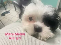 processed/60071092-7fb3-4c10-8ac6-384af2bfac8d/listing/14ac1041-da16-4217-9138-10c0b6ac2996/bec3c87d-8a3b-4d97-96b2-cad4f7772e1b