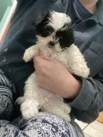 processed/60071092-7fb3-4c10-8ac6-384af2bfac8d/listing/88d1510a-80d0-4835-94c1-4e8225a99675/03a13d58-3cd6-49ec-8512-0f9a3eb450ed