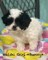 processed/60071092-7fb3-4c10-8ac6-384af2bfac8d/listing/88d1510a-80d0-4835-94c1-4e8225a99675/0e61ef9b-31df-403f-9c74-ec5f91b5042b